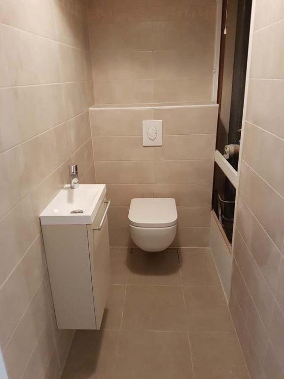 WC Suspendu à Ittenheim, Strasbourg et Obernai : Pourquoi Faire le Choix de la Modernité