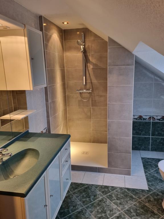 Rénovation de Douche à Ittenheim, Bischheim et Strasbourg : Optimisez Votre Espace avec Style